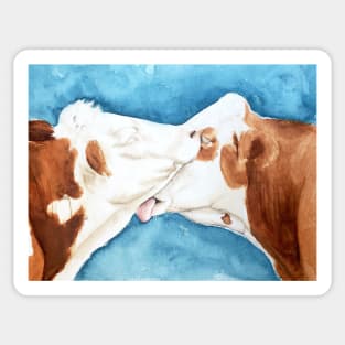 Kissing cow Sticker